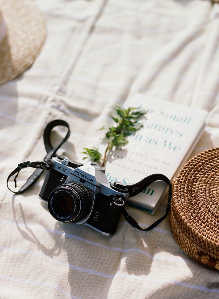 Trouwfotograaf in Almere