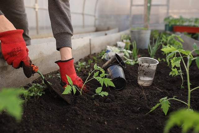 Tuinman in Almere