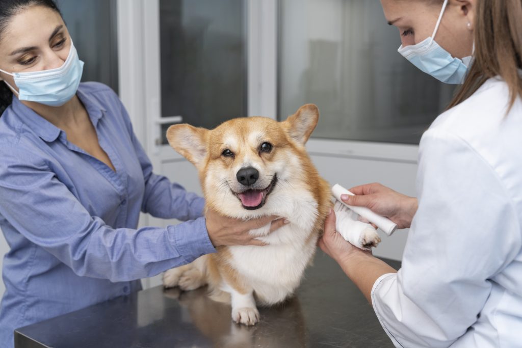 Dierenkliniek in Almere